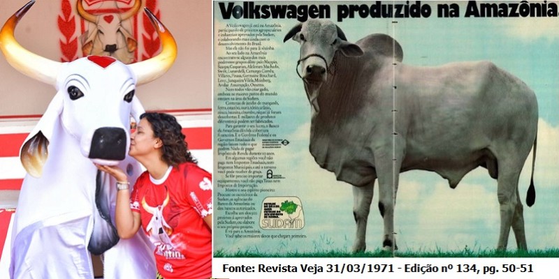 Amazônia: o boi-bumbá e o zebu da Volkswagen