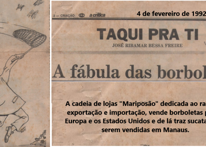 A fábula das borboletas na Amazônia