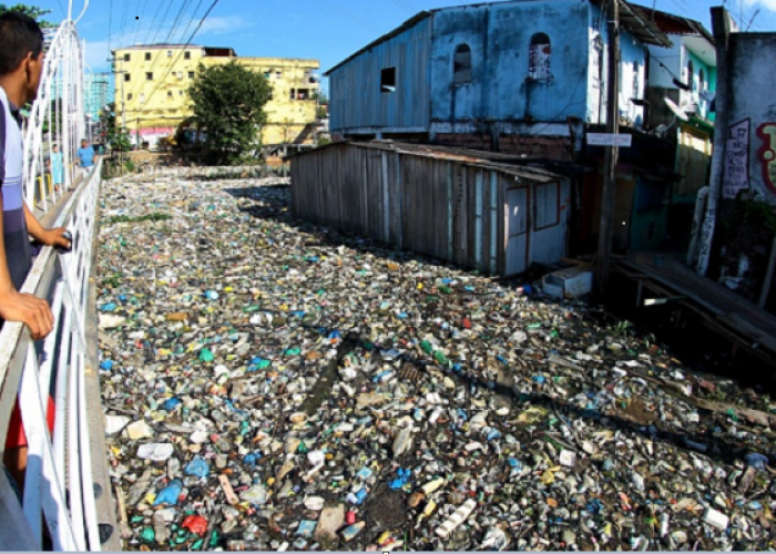 Desculpas manauaras: a questão ambiental